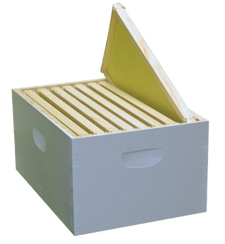 8-Frame Assembled Painted Hive Body Kit, Wood Frames, Made in The USA