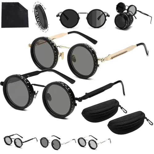 Adjustable Tint Rounded Polarized Lenses Retro Sunglasses, Organismt Glasses, Polarized ND Filter, 1-9 Gear Control