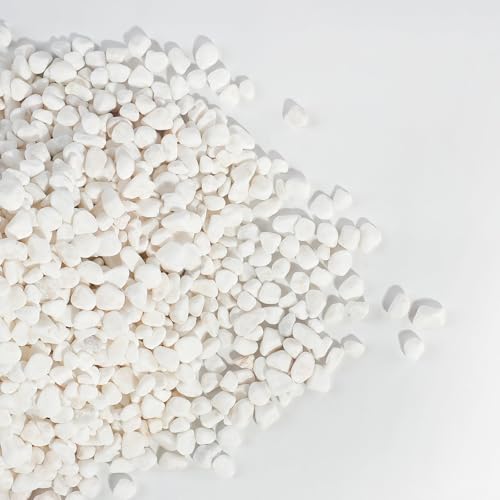 Image of CONSDAN 2 LBS Natural Gravel for Fish Tank, StoneCreek Betta Fish Aquarium Gravel, Vase Filler, River Rocks, Fish Tank Decorations, Perfect for Aquarium Decor, Fish Tank, & Indoor Plant, White