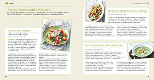 Kräuter Basics: Alles, was Aromafans wissen müssen (GU Garten Extra) - 5