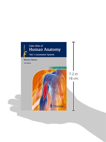 Locomotor System: Vol 1. Locomotor System