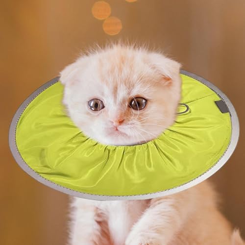 Cono suave para gatos para evitar lamer heridas con collar ajustable 4