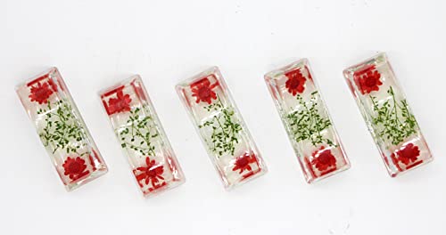 N&N Find Japan Japanese Chopstick Rest/Spoon Fork Knife Holder With Real Flower In Acrylic (Asparagus Red) #TOP4