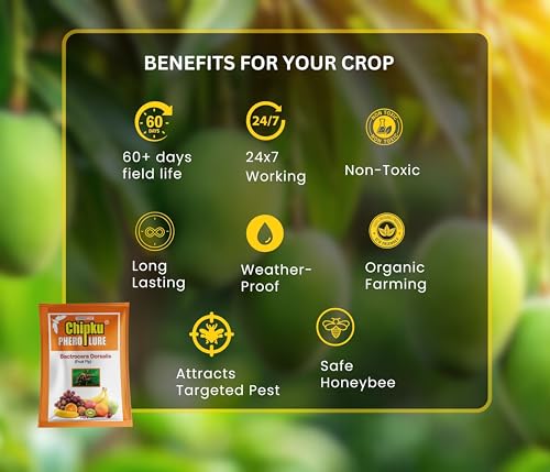 Image of Chipku Bactocera Dorsalis Fruit Fly -Pack of 5 Outdoor Eco Pheromone Trap with Lure Useful in Mango, Papaya, Sapota, Guava, Pomegranate, Sweet Fruit Yellow