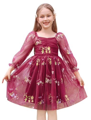 IDOPIP Toddler Baby Girls Dresses Long Puff Sleeve Pageant Mesh Tutu Dress Infant Wedding Baptism Photo Shoot Tulle Dress