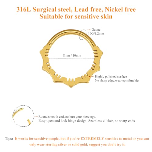 MissNity 16G Clicker Rings 316L Surgical Steel Hinged Hoops for Septum, Daith and Cartilage Earlobe Piercings Jewelry, Diameter 8mm, 10mm2