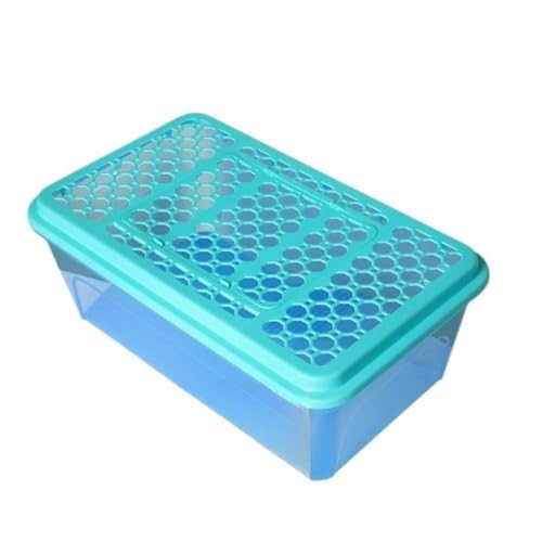 Heuitgs �J���p���� ��^ 60cm ���W ���@�\ �~�h���K���p? �����G���A�݌v �r���E�t�� �ώ@���₷�� ���^��������ɂ��K�p (�u���[)