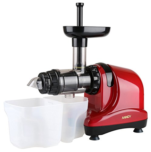 ANNDY Slow Juicer Cold press juicer slow masticating juicer horizontal juicer juice extractor - Red