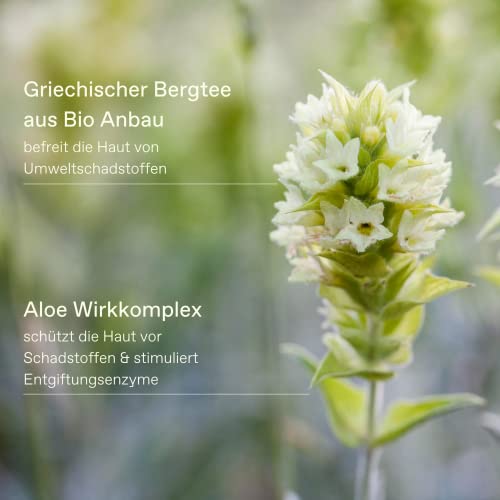 KORRES Olympus Tea Deep Detox Cleansing Cloths, 30 ct. - Image 5