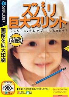 Amazon ズバリ 巨大プリント 説明扉付きスリムパッケージ版 Hdd ファイル管理 Pcソフト Amazon ズバリ 巨大プリント 説明扉付きスリムパッケージ版 Hdd ファイル管理 Pcソフト