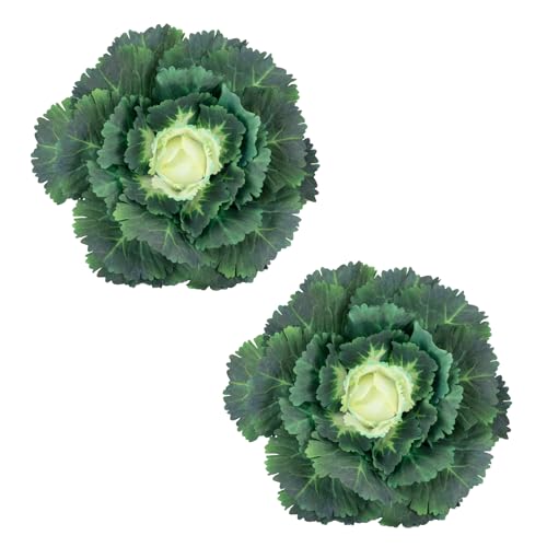 Tasruwat 2PCS Faux Ornamental Cabbage UV Resistant Fake Vegetables Artificial Kale Plants for Outdoor Planters Front Porch Decor Window Box Fall Garden and Home Decoration (Green)