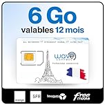 Wave Connect SIM Données France 4 Réseaux, 6 Go valables 12 Mois, Bouygues, Free, Orange, SFR, 4G, 5G, Prépayée, Active dès La Première Utilisation, UE, IoT, Sécurité