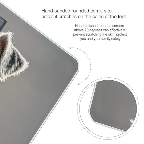 Báscula digital para baño con diseño de perro Schnauzer miniatura 4