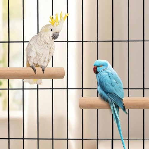 Image of Woohome 7 PCS Natural Wood Bird Perch Stand, 5 Size Bird Parrot Perch Stand Set, Wooden Parrot Perch Stand for Parrotlets Cockatiels Budgies Parakeets