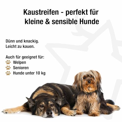 Kaustreifen Lachs pur, 5 x 12 cm | natürliche Kauartikel für Hunde | Monoprotein | Zahnpflege & Beschäftigung | Zutaten aus der EU | ohne Zusatzstoffe | hypoallergen | für Allergiker | 100% Lachs