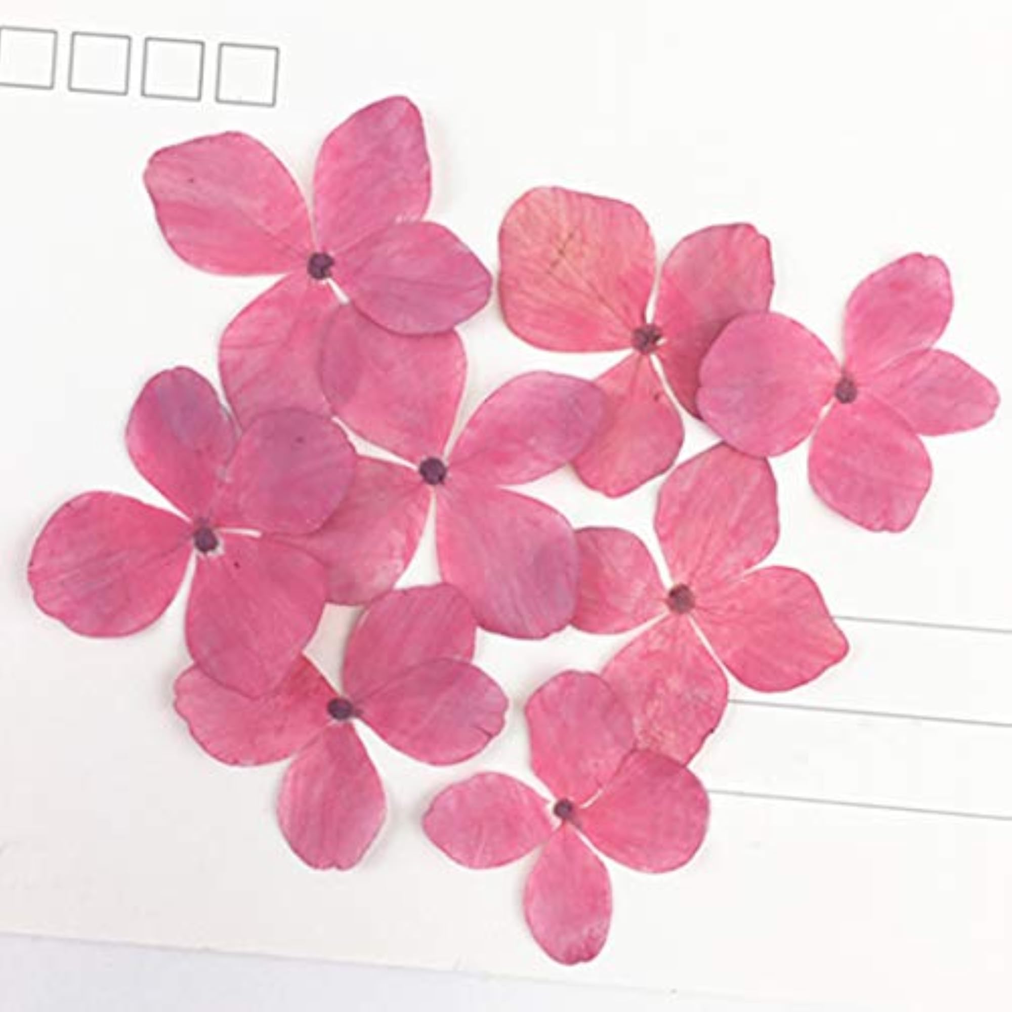 12PCS Pressed Flowers Natural DIY Flowers for Bookmark