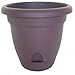 Lucca Round Pot Planter Color: Exotica, Size: 8"
