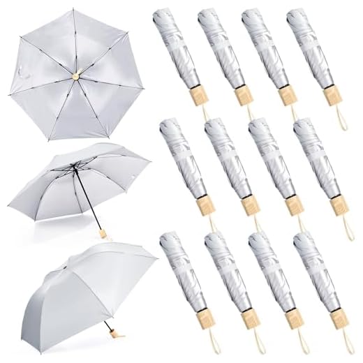 Silkfly Mini Folding Windproof Umbrella Pack