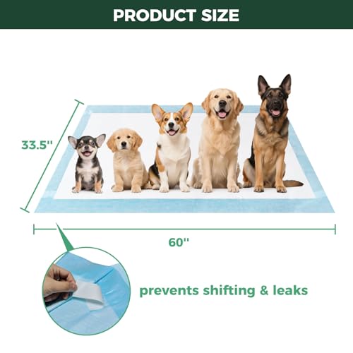 Image of FXW XXL Puppy Pee Pads for Dogs 60x33.5 inch 20 Count, 5 Layer Super Absorbent & Leak Proof-Thickened Disposable Potty Training Pad, Fits 32 inch H 6 /8 Panel FXW Playpen-Blue (Playpen not Included)