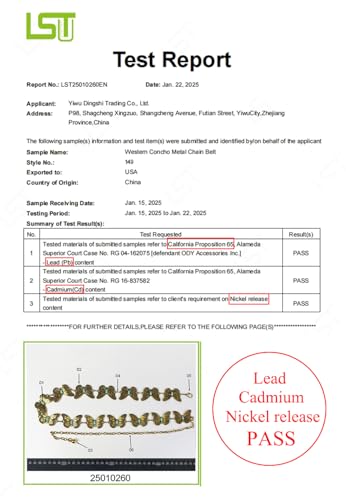 TOPACC Metal Butterfly Chain Belts for Women Fashion Western Turquoise Boho Belt for Dress Jeans2