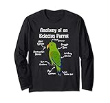 Photo Gallery anatomia di un pappagallo eclettico maschio maglia a manica Photo Gallery anatomia di un pappagallo eclettico maschio maglia a manica