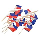 PAMINGONO Palillos De Fruta Banderas Internacionales para Decoración De Postres 100 Piezas Material De Madera Adecuado para Fiestas Cócteles y Aperitivos