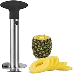 Pineapple Cutter Ananasverwijderaar, ananassnijder met