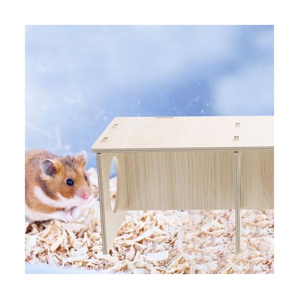 POPETPOP Verstecken Hamster Dekor Spielzeug M Tiere Lustiges Haustier Fach Klar Holz Frettchen Fenster Mäuse Verstecken für Hamster Spielzeug Multi Ratten Habitats Eichhörnchen Meereskammer Nest – Bild 5