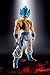 Produktbild Bandai Hobby S. H. Figuarts Super Saiyan God Super Saiyan Gozita Dragon Ball Super Broly
