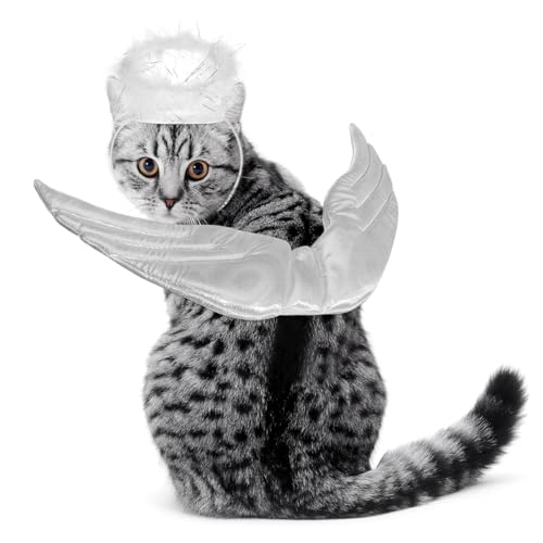 Disfraz Halloween Alas de Ángel para Perro Pequeño L