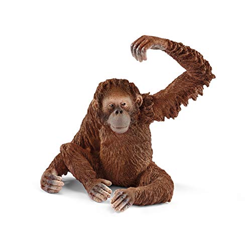 Schleich Wild Life, Animal Figurine, Animal Toys For Boys And Girls 3-8 Years Old, Female Orangutan, Ages 3+ #TOP1