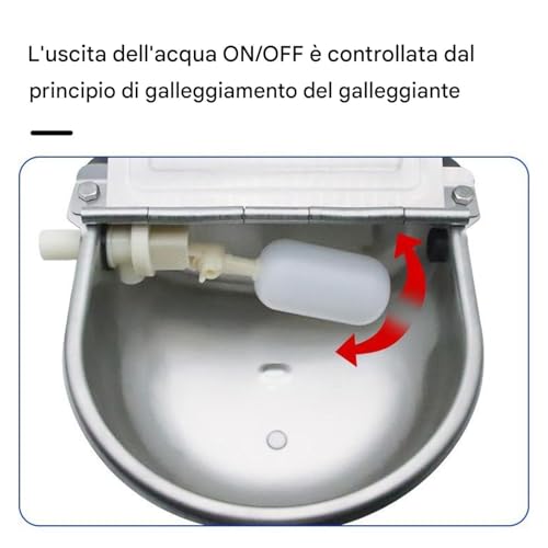Conteneur de distributeur de bétail pour le design de l'élevage - 7
