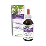 EINE NATÜRLICHE HILFE: Ruprechtskraut oder Stinkender Storchschnäbel Nahrungsergänzungsmittel in Tropfen. 40 Tropfen (2 ml) enthalten 200 mg Ruprechtskraut oder Stinkender Storchschnäbel. Glycerisches Mazerat oder reiner Flüssiger Extrakt der Ruprechtskraut oder Stinkender Storchschnäbel (Geranium robertianum) Kraut mit Blüten in Tropfen.