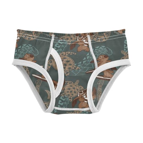 Boys' Exclusive Briefs Toddler Underwear 95% Combed Cotton Boxerbriefs 2T Stitch and Tropical Pattern 8