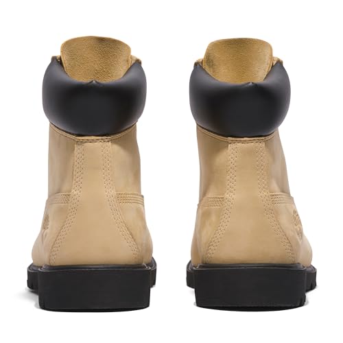 Timberland Men's 6 Inch Basic Waterproof Boots with Padded Collar Fashion, Moonstone, 9