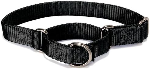 PetSafe Martingale Collar 1" Medium, Black