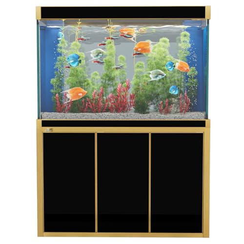 Aqua Dream 135 Gallon Aquarium Tempered and Ultra-Clear Glass (Full Setup) in Black with Gold Trims
