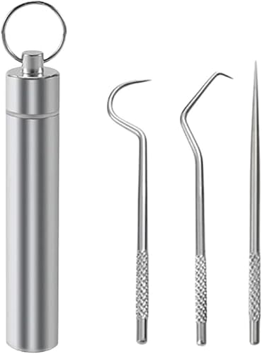 3PCS Metal Toothpick Set - Toothpick Holder Keychain - Reusable Toothpicks with Storage Box - Waterproof Portable Design for Outdoor Picnic Travel (Silver)