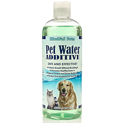 Mindful Pets Pet Water Additive Dental Care - Freshen Breath, Promote Healthy Gums, Remove Plaque and Tarter Build Up - for Dogs and Cats Teeth Cleaning - 16oz