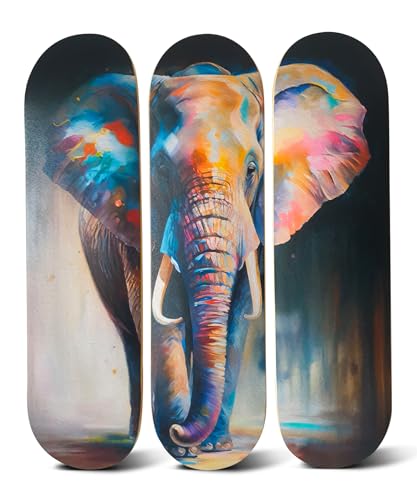 Abstract Elephant Canvas Wall Art on Skateboard Decks