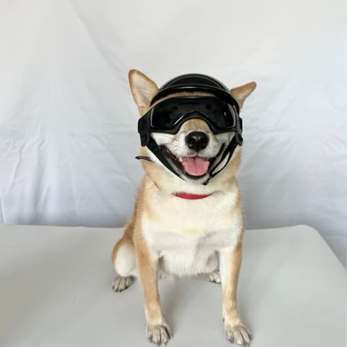 Casque pour petits chiens et lunettes soleil anti vent M - 3
