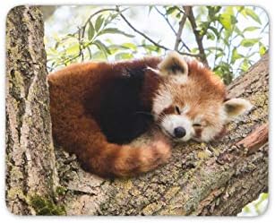 Cute Lesser Red Panda Mouse Mat Pad - Animal Tree Bear Kids Computer #14217