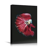 SIGNWIN Canvas Wall Art Siamese Fighting Fish with Red, Pink and White Fins Underwater Marine Life Ocean Modern Art Nautical Closeup Colorful for Living Room, Bedroom, Office - 12x18 inches