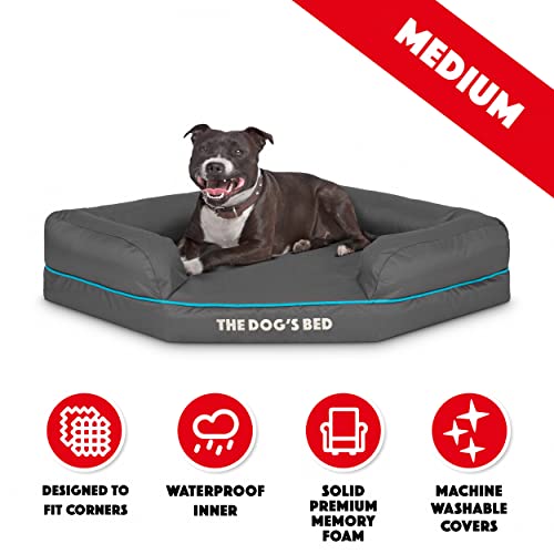 The Dog's Balls Cama para Perros - Ortopédico, Espuma viscoelástica de Primera Calidad, Impermeable, Alivio del Dolor de la Artritis, displasias de Cadera y Codo, Soporte, Cubierta Lavable - imagen 6