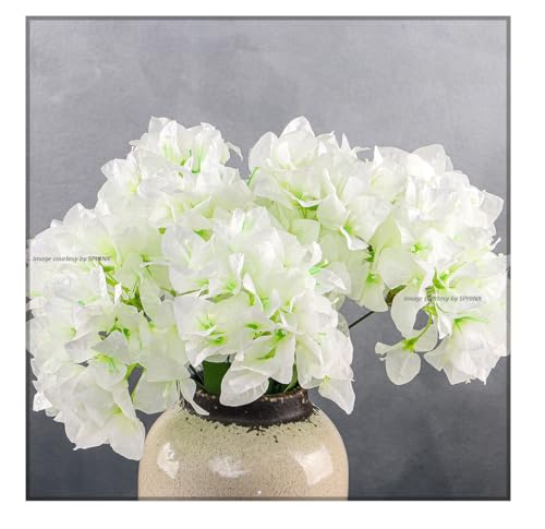Image of SPHINX Artificial Bougainvillea 5 Heads Bunch Without Vase for Home Decor,Centerpieces, Christmas Decorations, Welcome Reception, Dinner Table decor Approx Height 50 cms- (1 Piece, White)