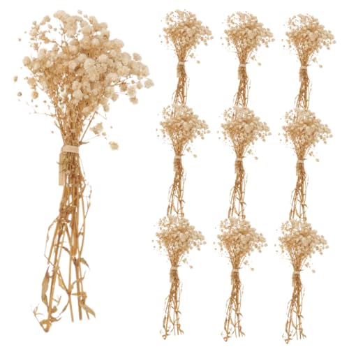 Ramo seco de flores Gypsophila natural para decoración miniatura 1