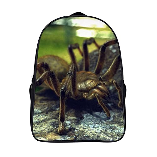 Sac à dos d'école 3D cool avec grand compartiment ergonomique