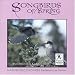 Songbirds of Spring