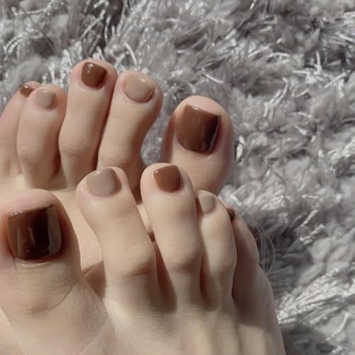 ZGHQHCDRHlC`bv  24 ew lCV[   lC `bv tbg JԂg WF`bv T}[   l p ȒP  tbgp