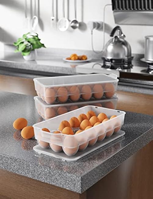 WYT Clear Covered Egg Holder 3-Pack, Plastic Egg Storage for Refrigerator, Egg Tray Container with Lid, Fits 18 Eggs